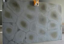Tartaruga