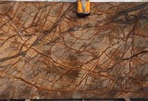 Rain Forest Brown